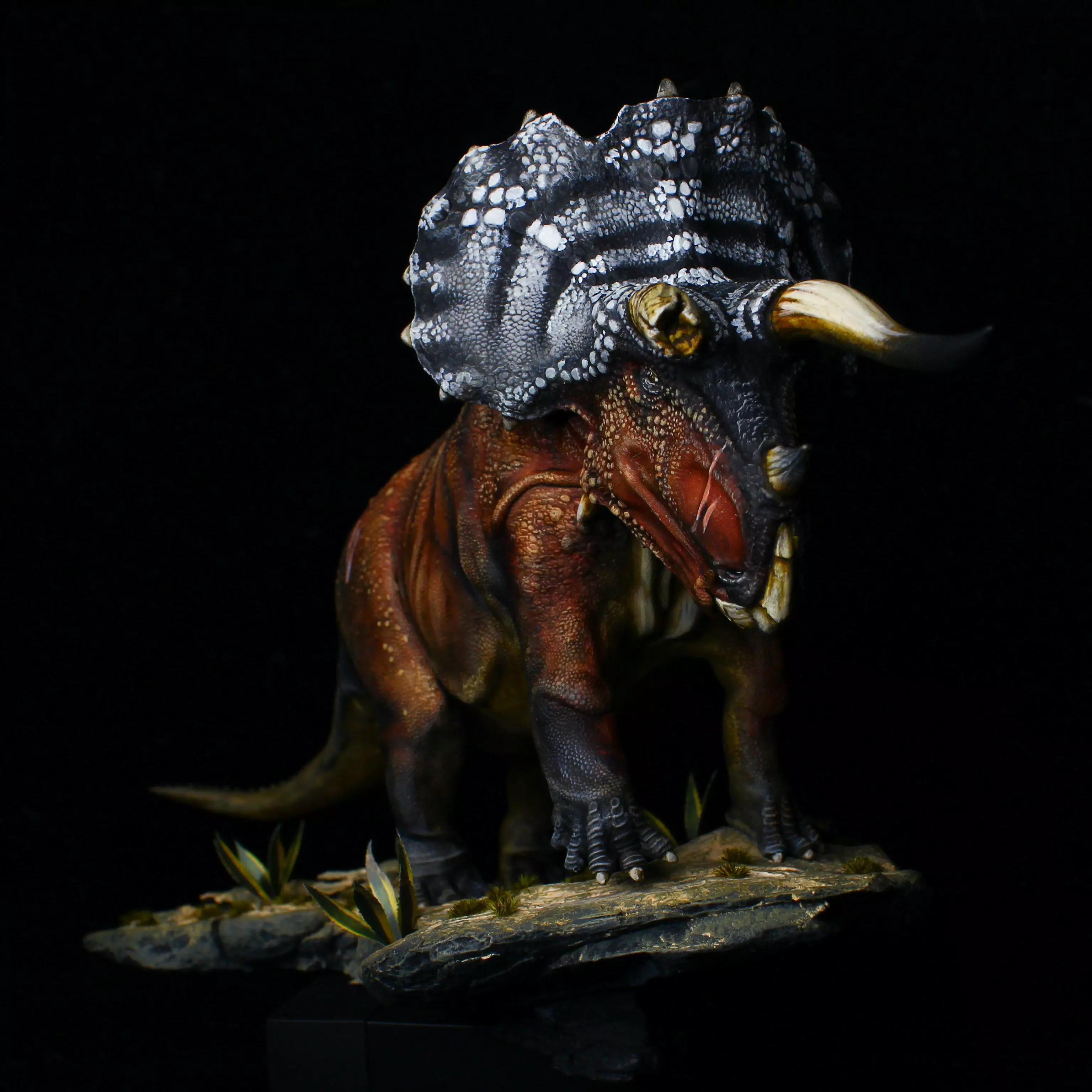 Triceratops old bull 3D print model_0