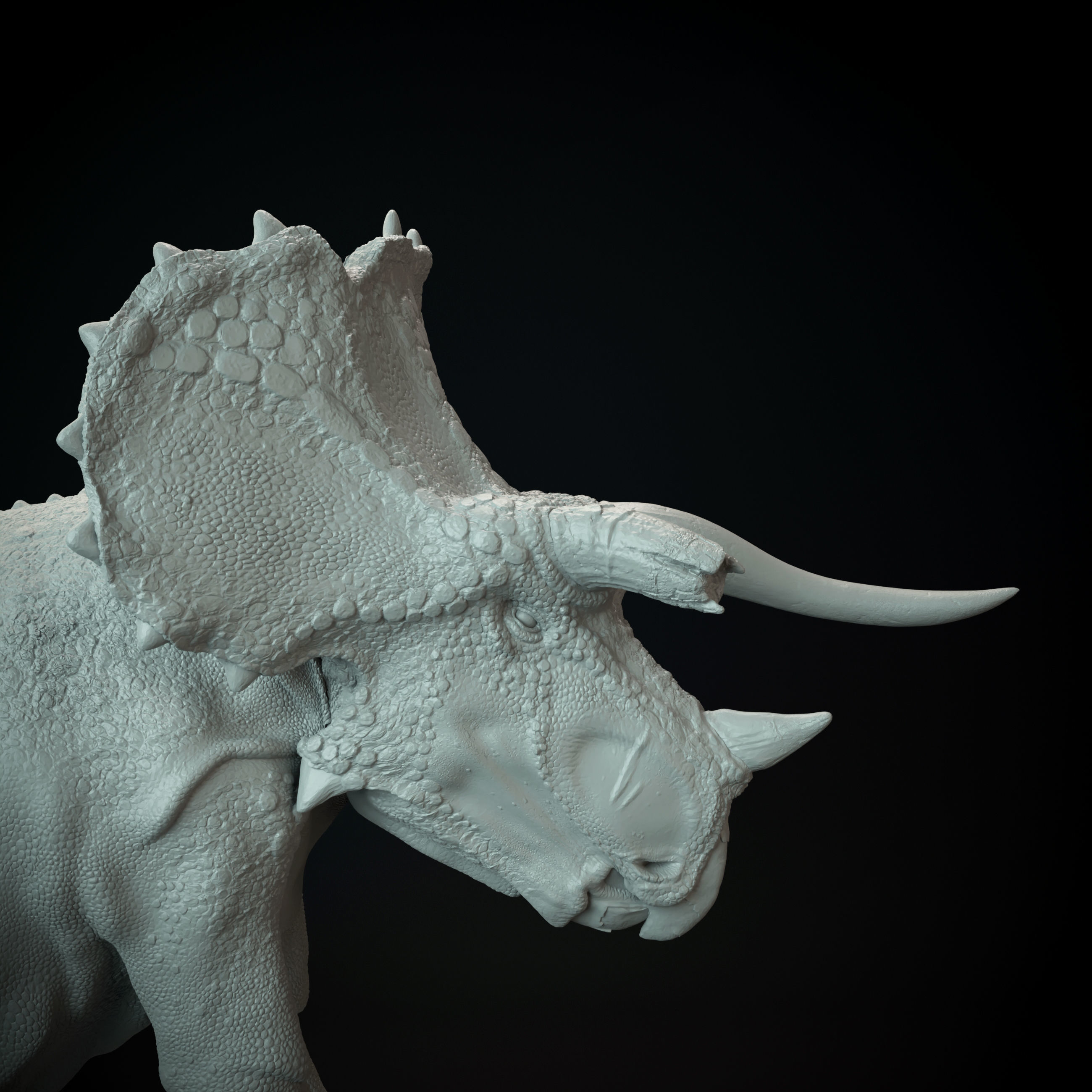 Triceratops old bull 3D print model_8
