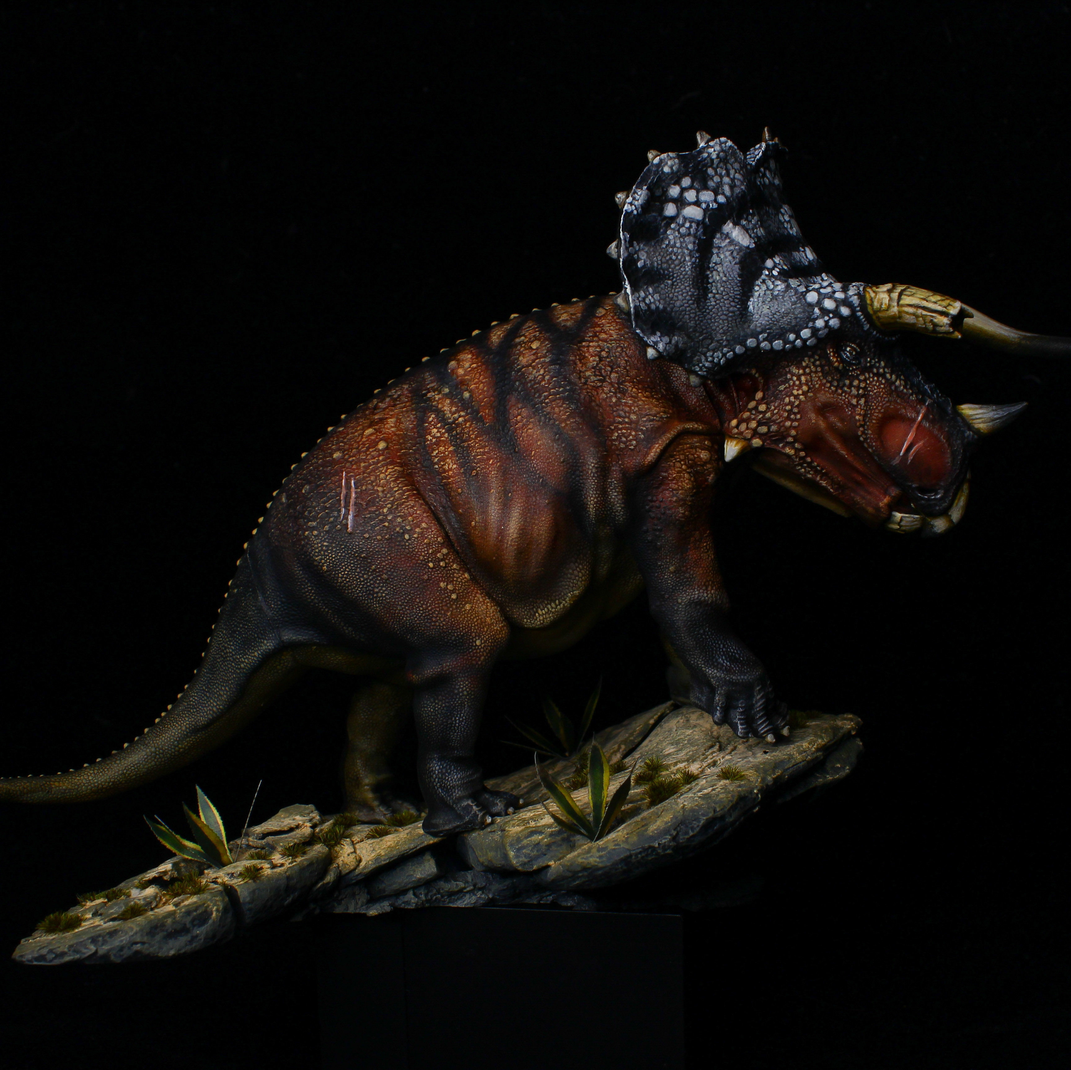 Triceratops old bull 3D print model_2
