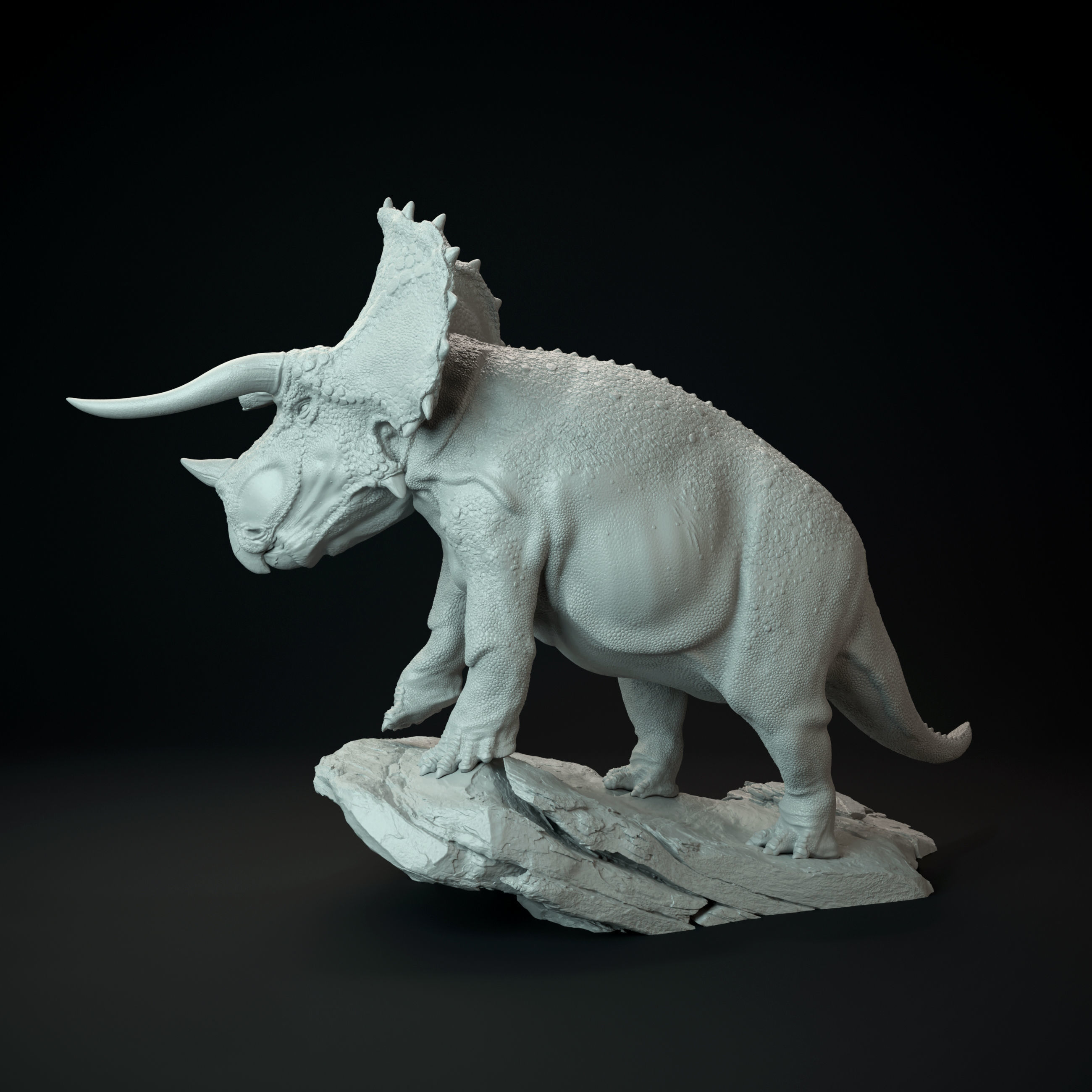 Triceratops old bull 3D print model_6