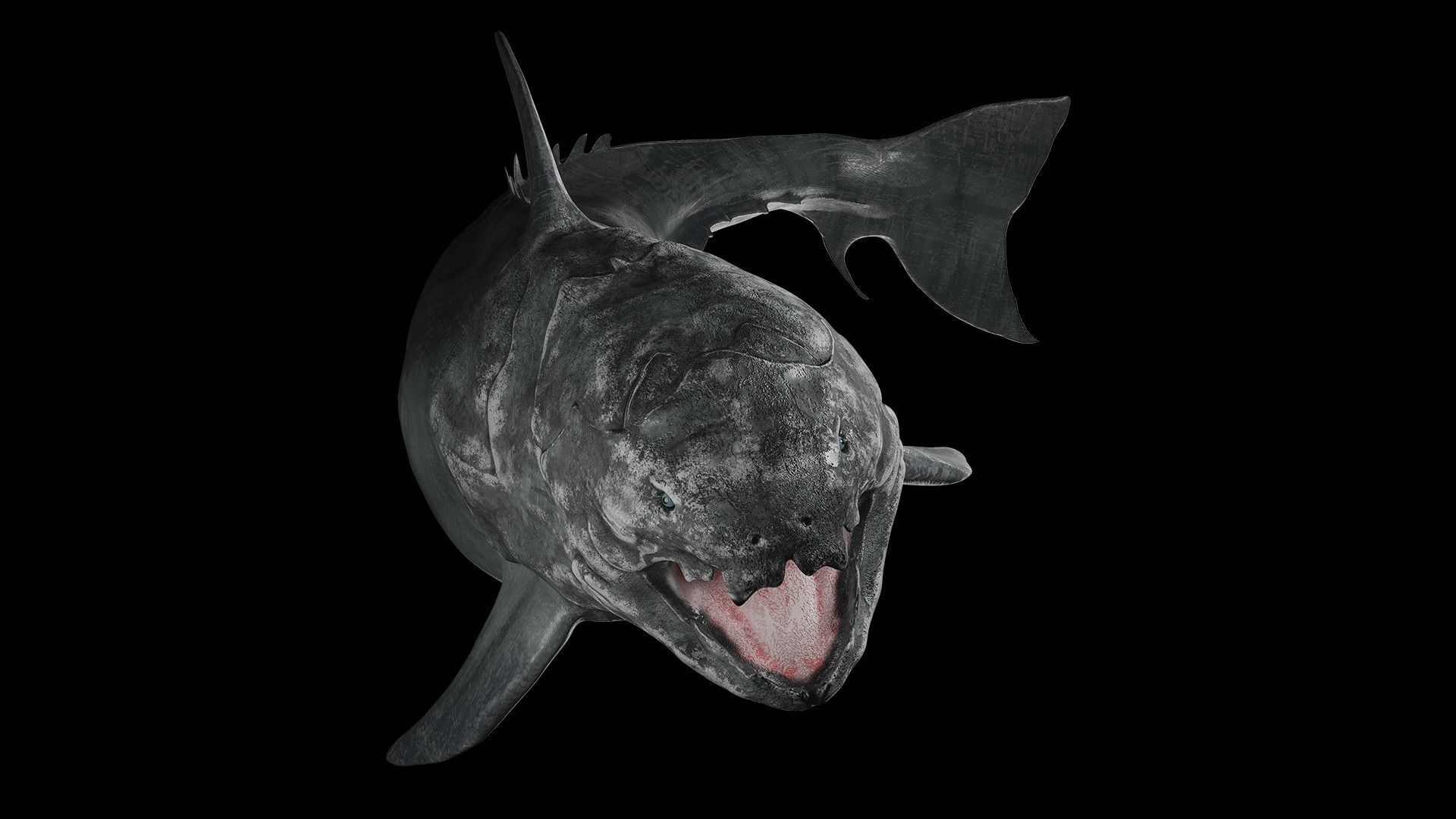 Dunkleosteus shark Low-poly 3D model_5