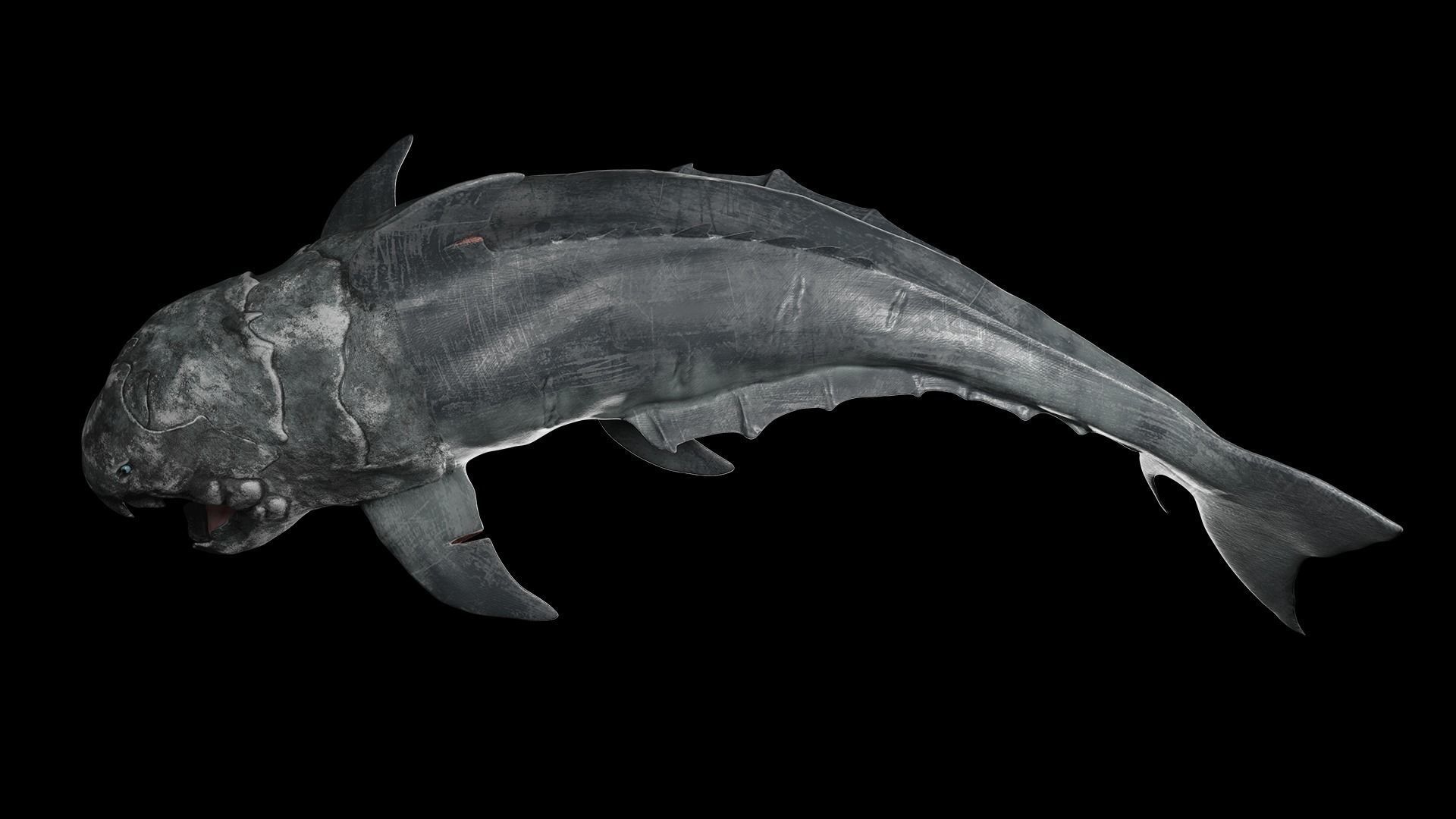Dunkleosteus shark Low-poly 3D model_4