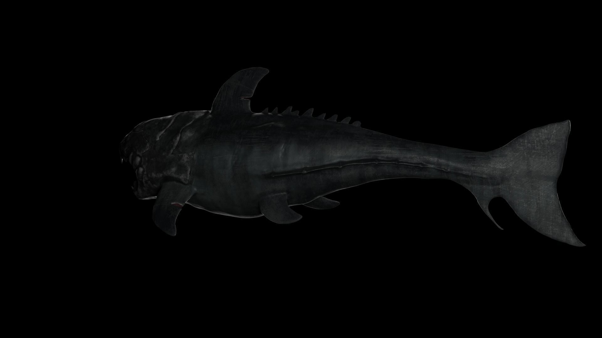 Dunkleosteus shark Low-poly 3D model_14