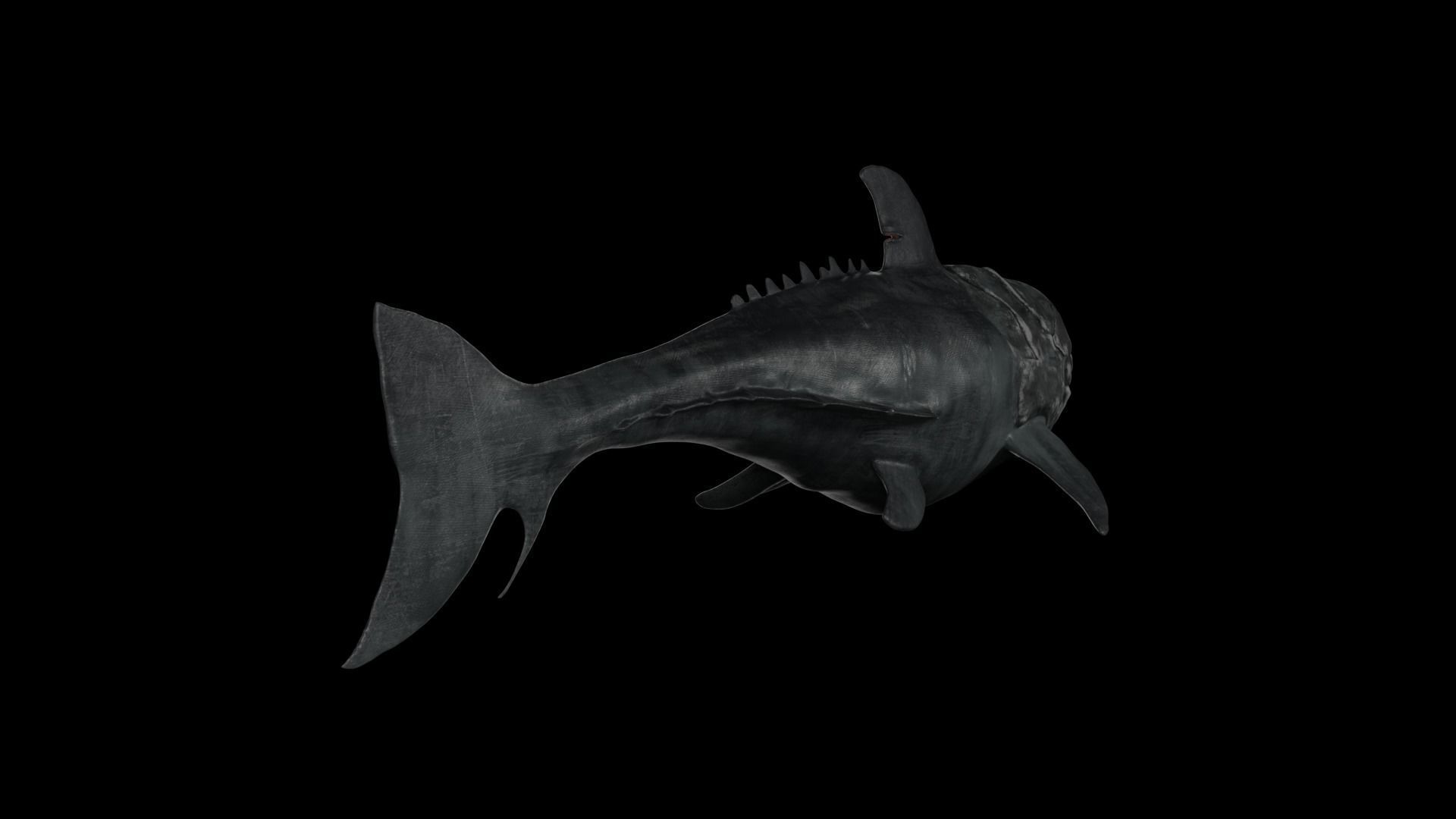 Dunkleosteus shark Low-poly 3D model_33