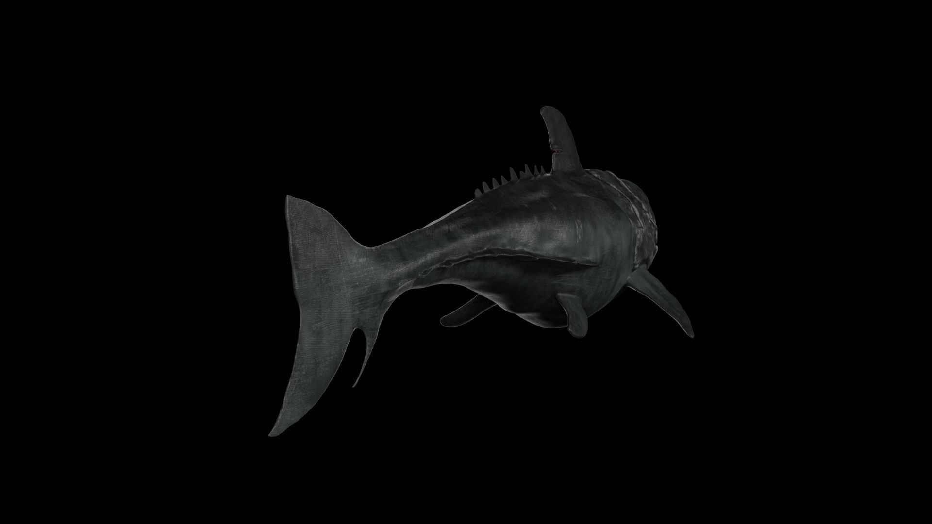 Dunkleosteus shark Low-poly 3D model_24