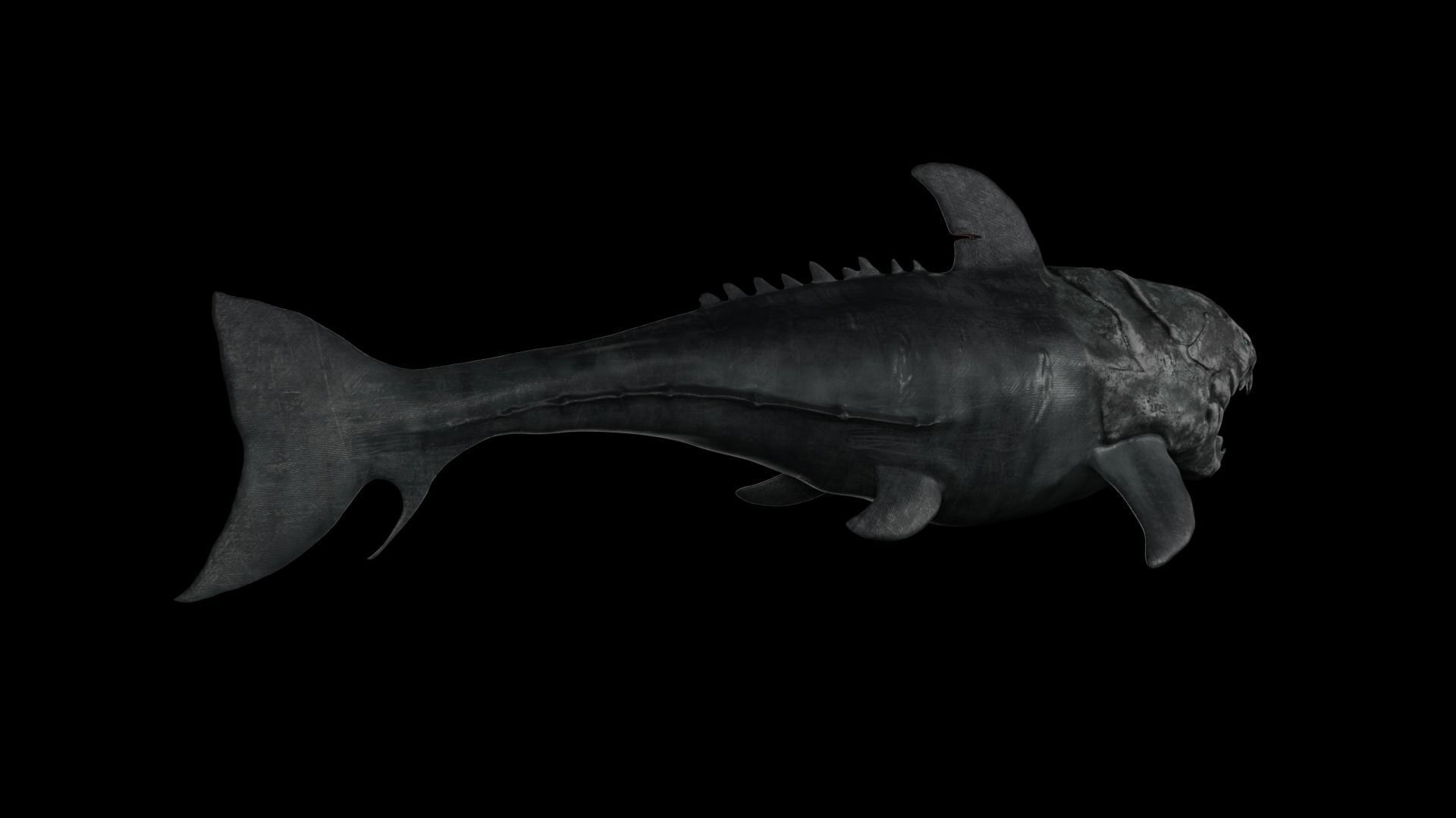 Dunkleosteus shark Low-poly 3D model_34
