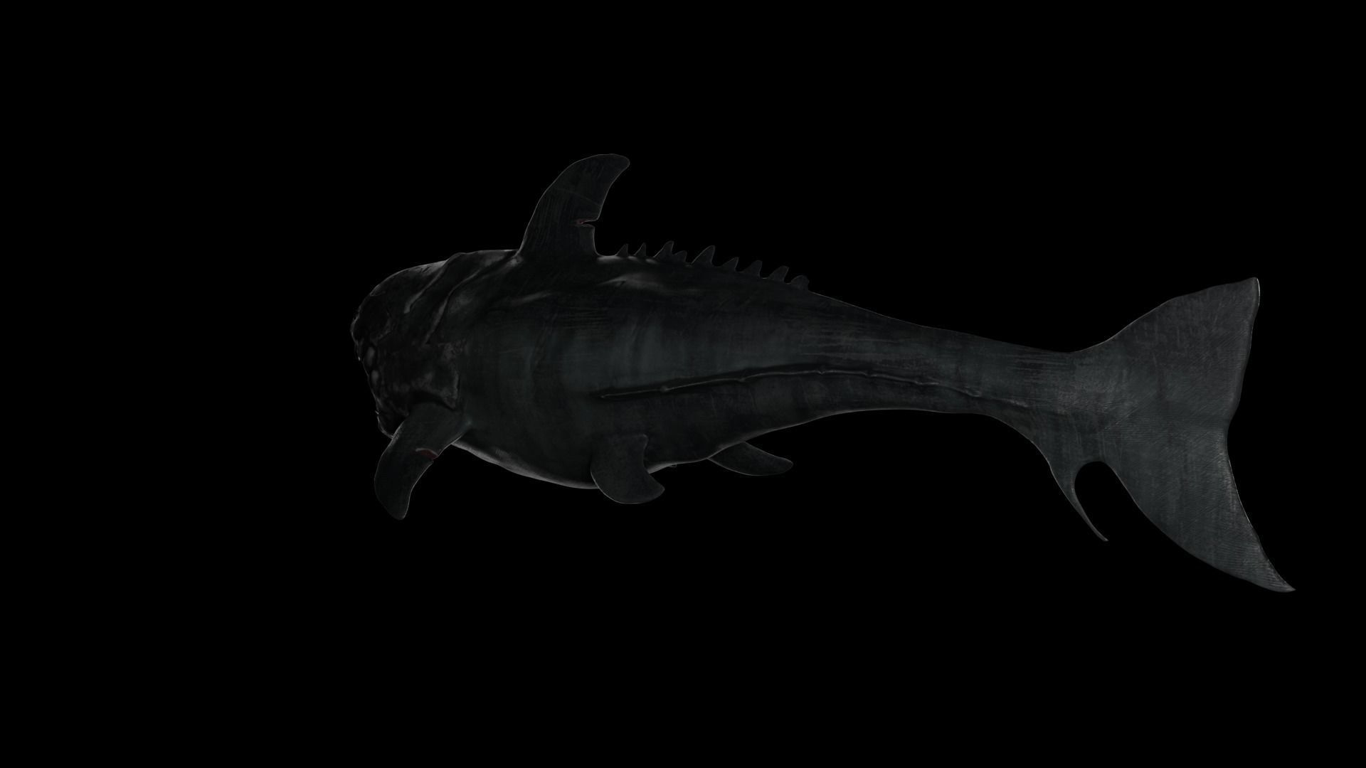 Dunkleosteus shark Low-poly 3D model_20