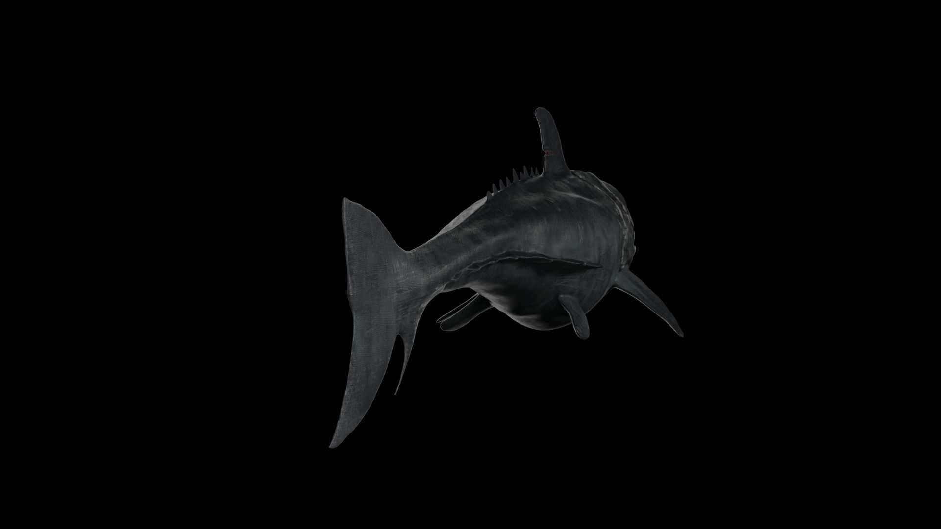 Dunkleosteus shark Low-poly 3D model_32