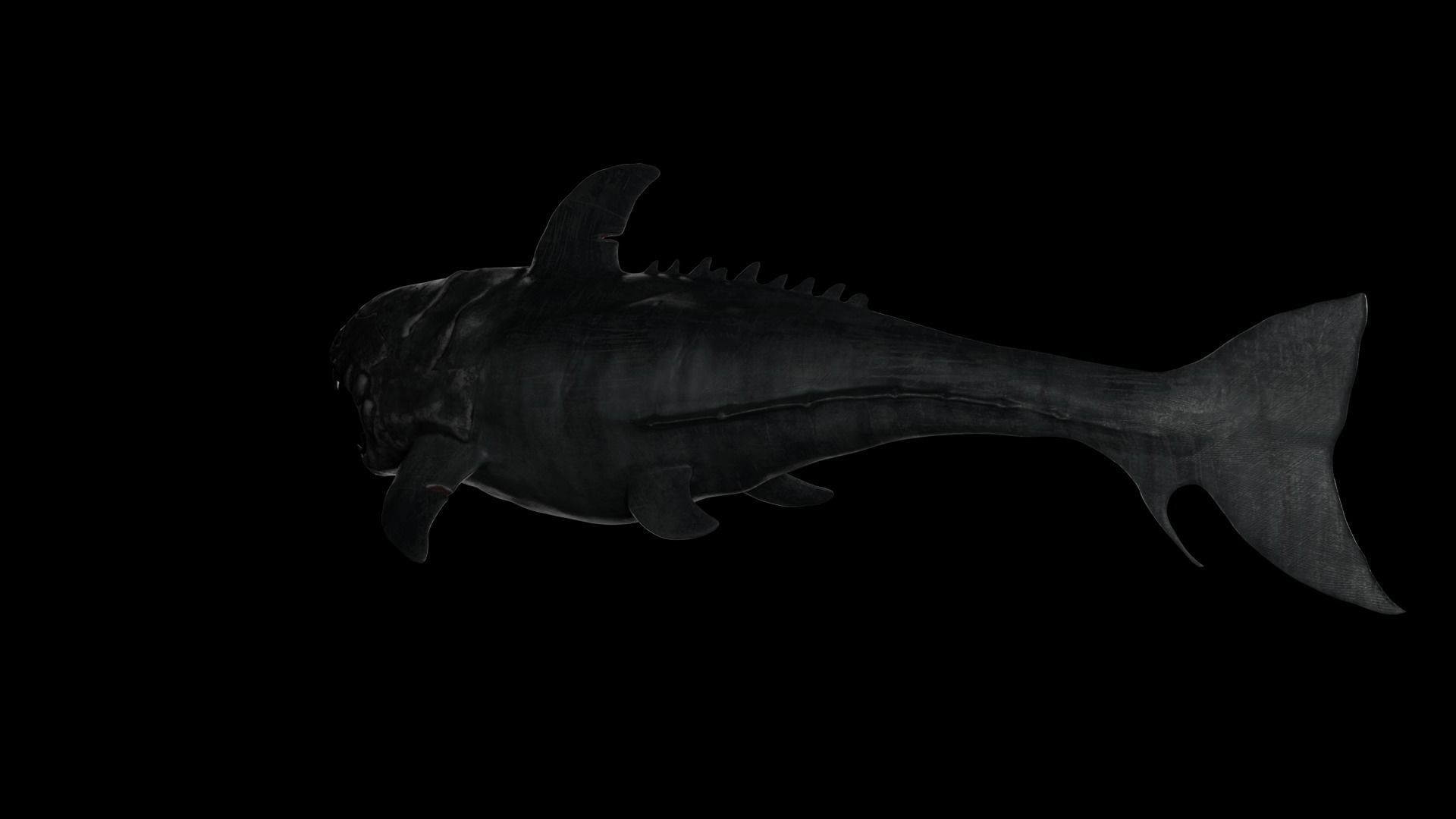 Dunkleosteus shark Low-poly 3D model_19