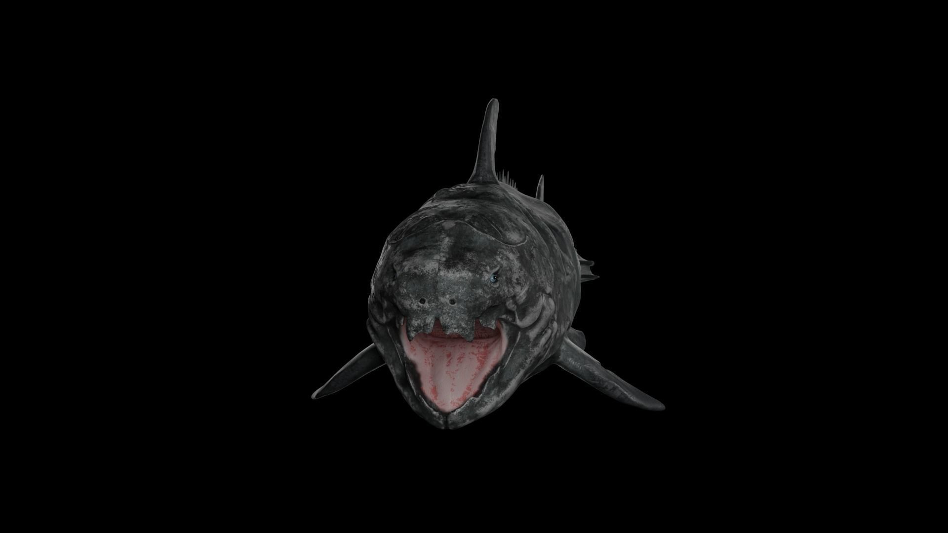 Dunkleosteus shark Low-poly 3D model_51