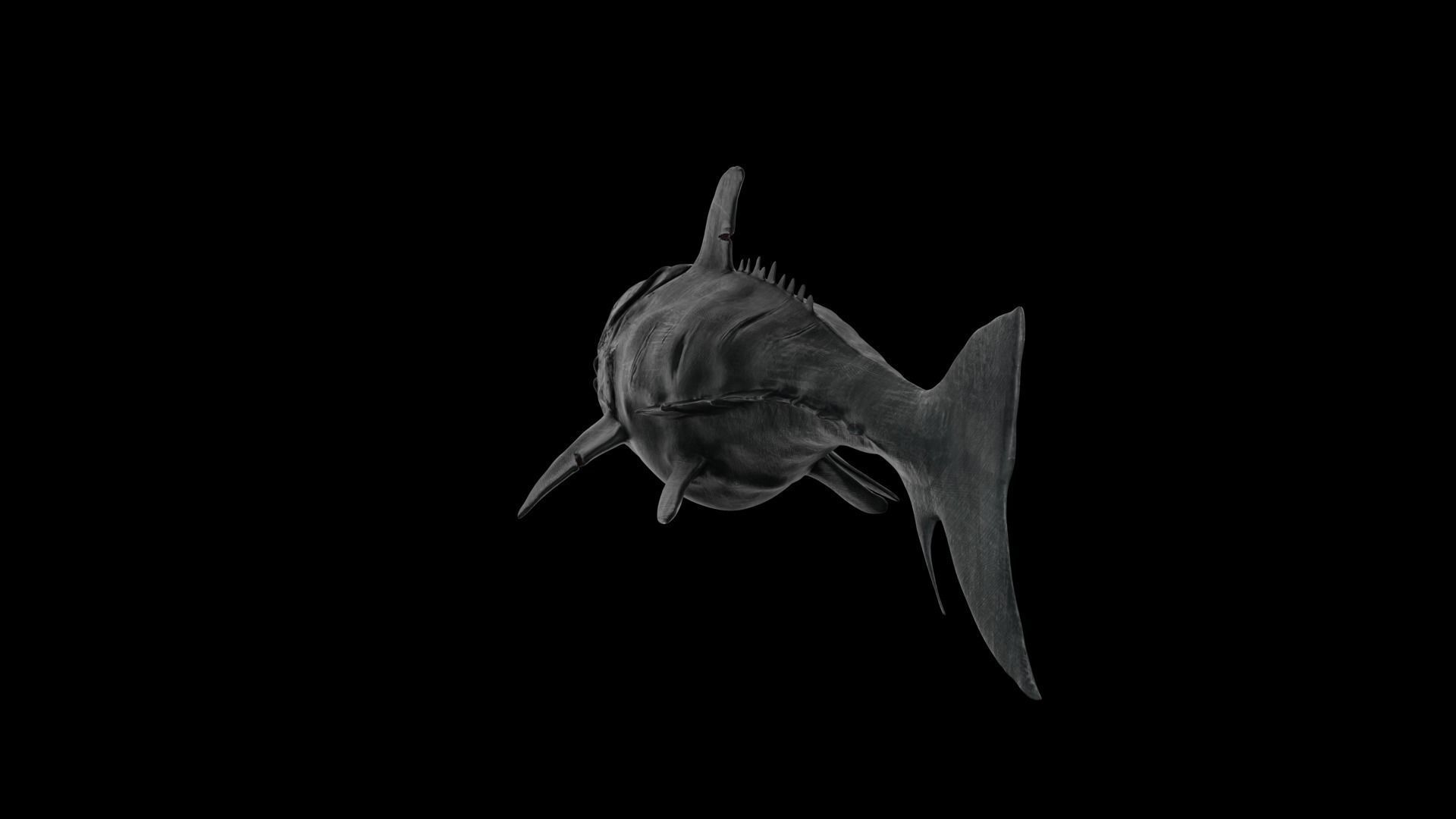 Dunkleosteus shark Low-poly 3D model_22