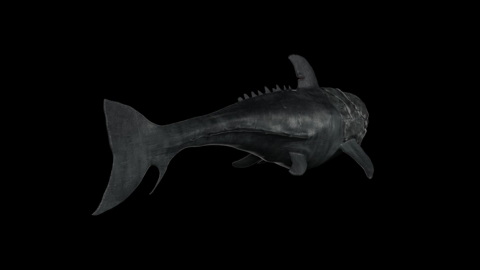 Dunkleosteus shark Low-poly 3D model_25
