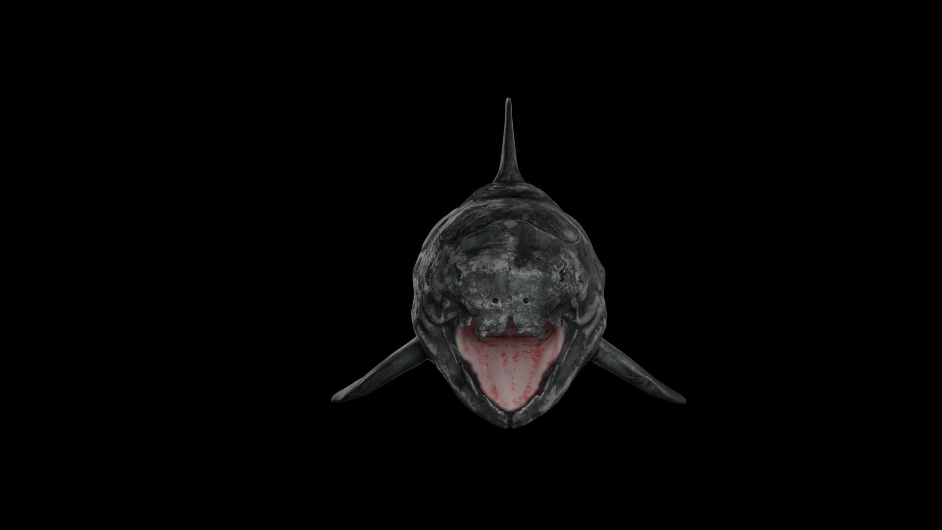 Dunkleosteus shark Low-poly 3D model_50