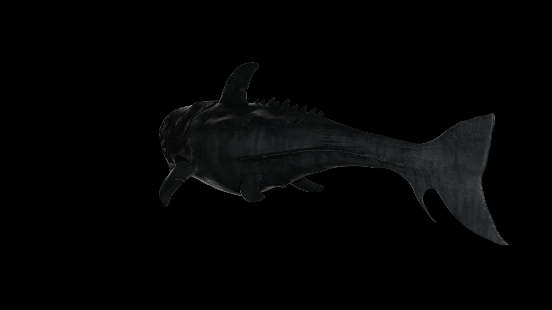 Dunkleosteus shark Low-poly 3D model_13