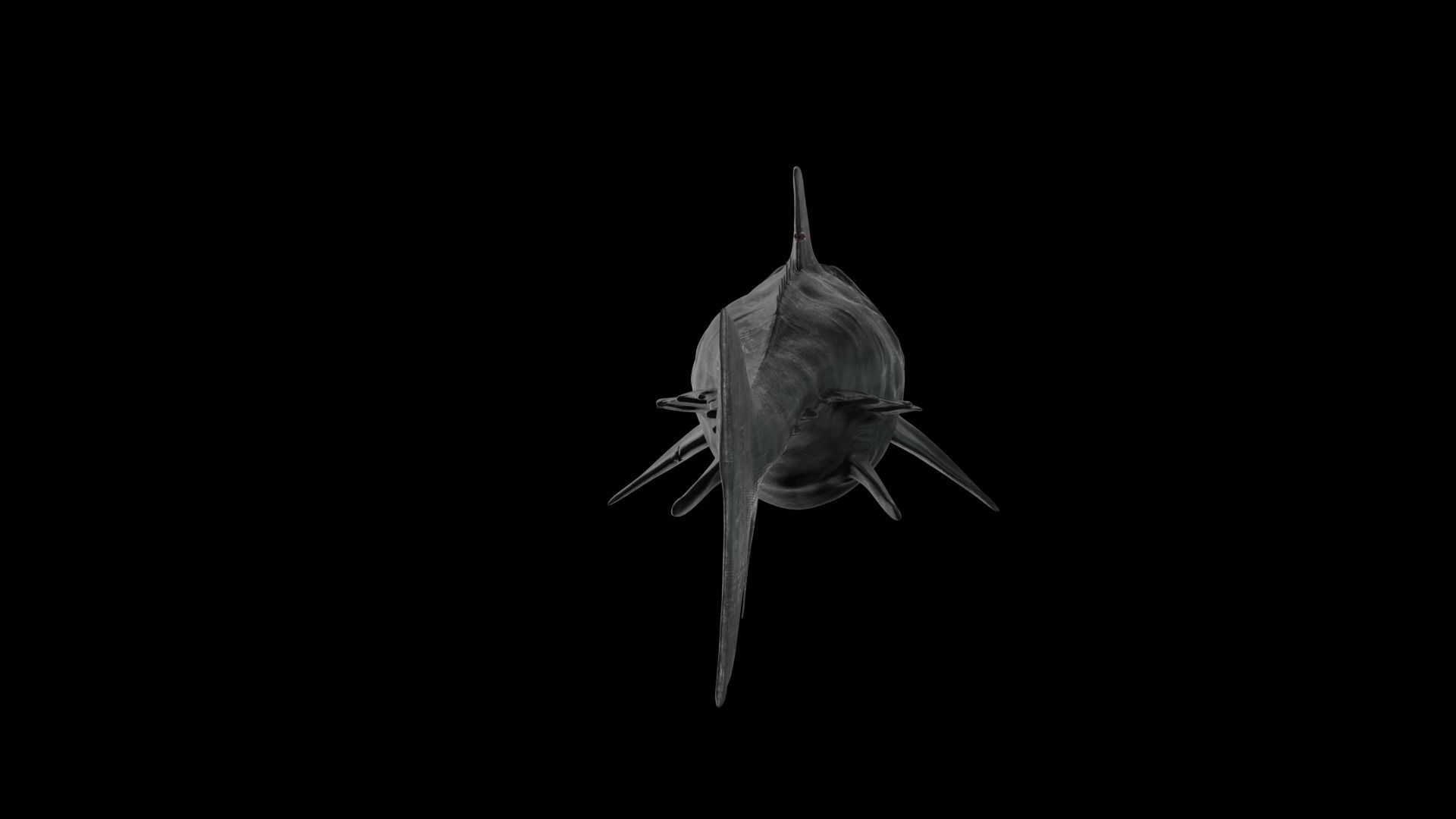 Dunkleosteus shark Low-poly 3D model_26