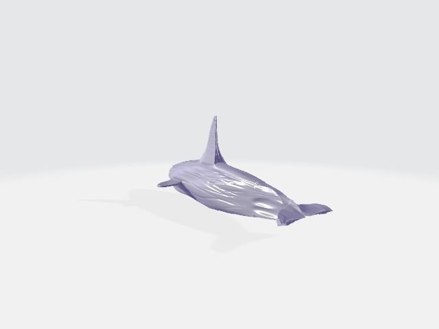 High Poly Whale 3D model_1