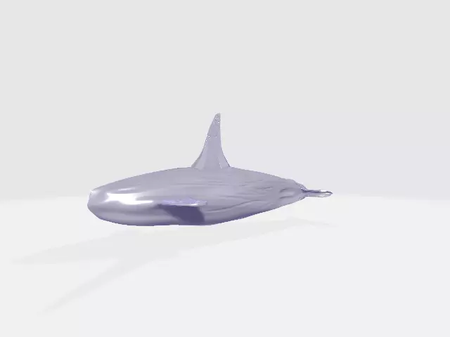 High Poly Whale 3D model_0