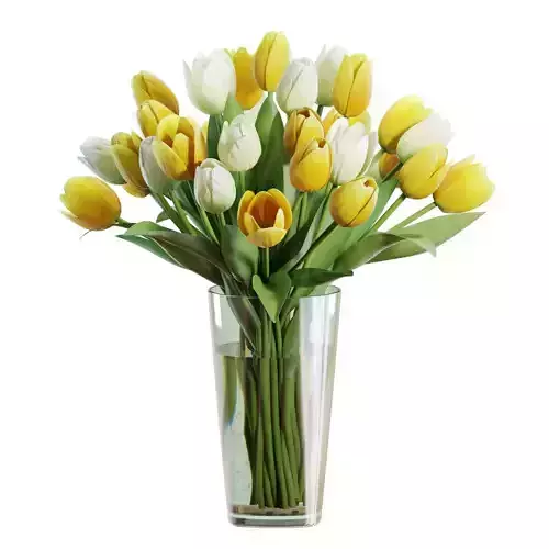 Flower Set 27 - Yellow and White Tulips Bouquet