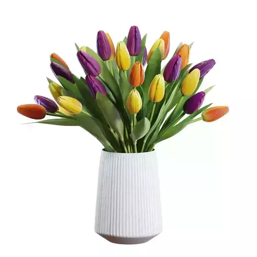 Flower Set 28 - Multicolor Tulips Bouquet