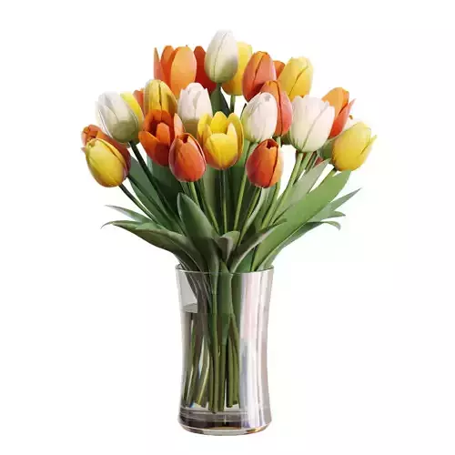 Flower Set 29 - Multicolor Tulips Bouquet