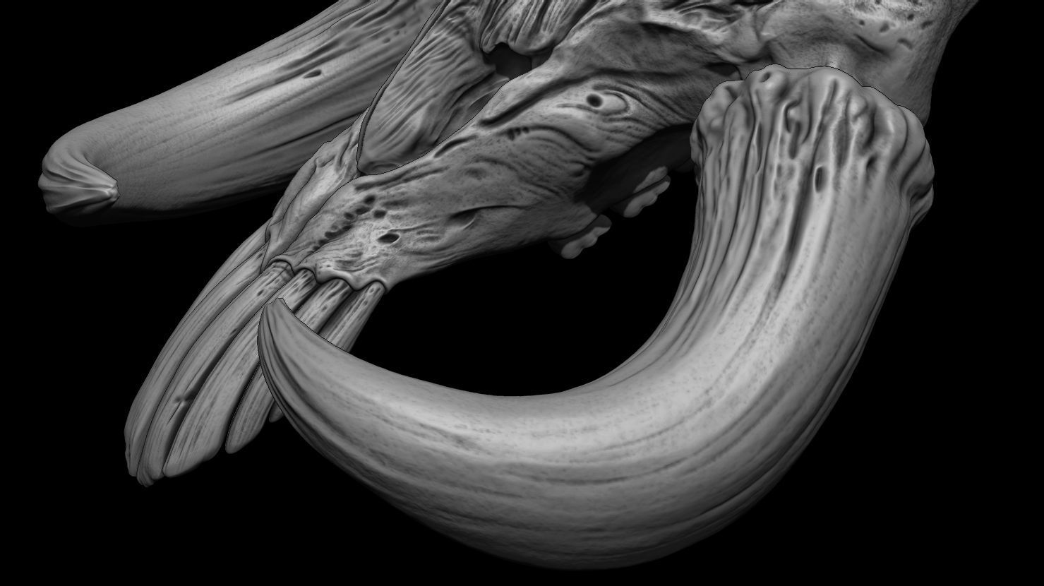 3D PRINTABLE MYTHOSAUR SKULL AND HORNS - THE MANDALORIAN 3D print model_19