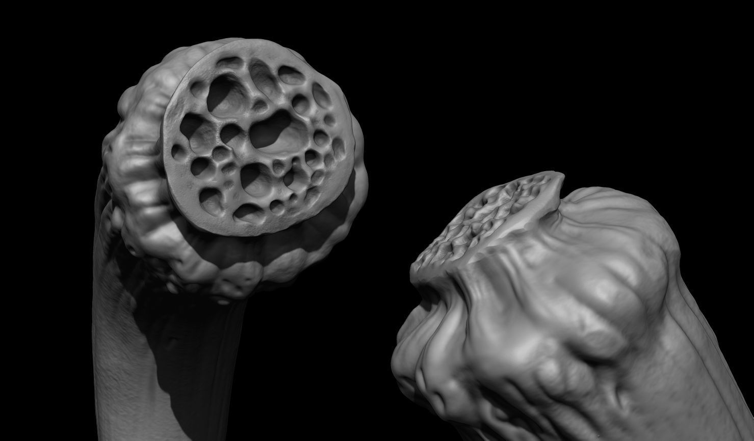 3D PRINTABLE MYTHOSAUR SKULL AND HORNS - THE MANDALORIAN 3D print model_26