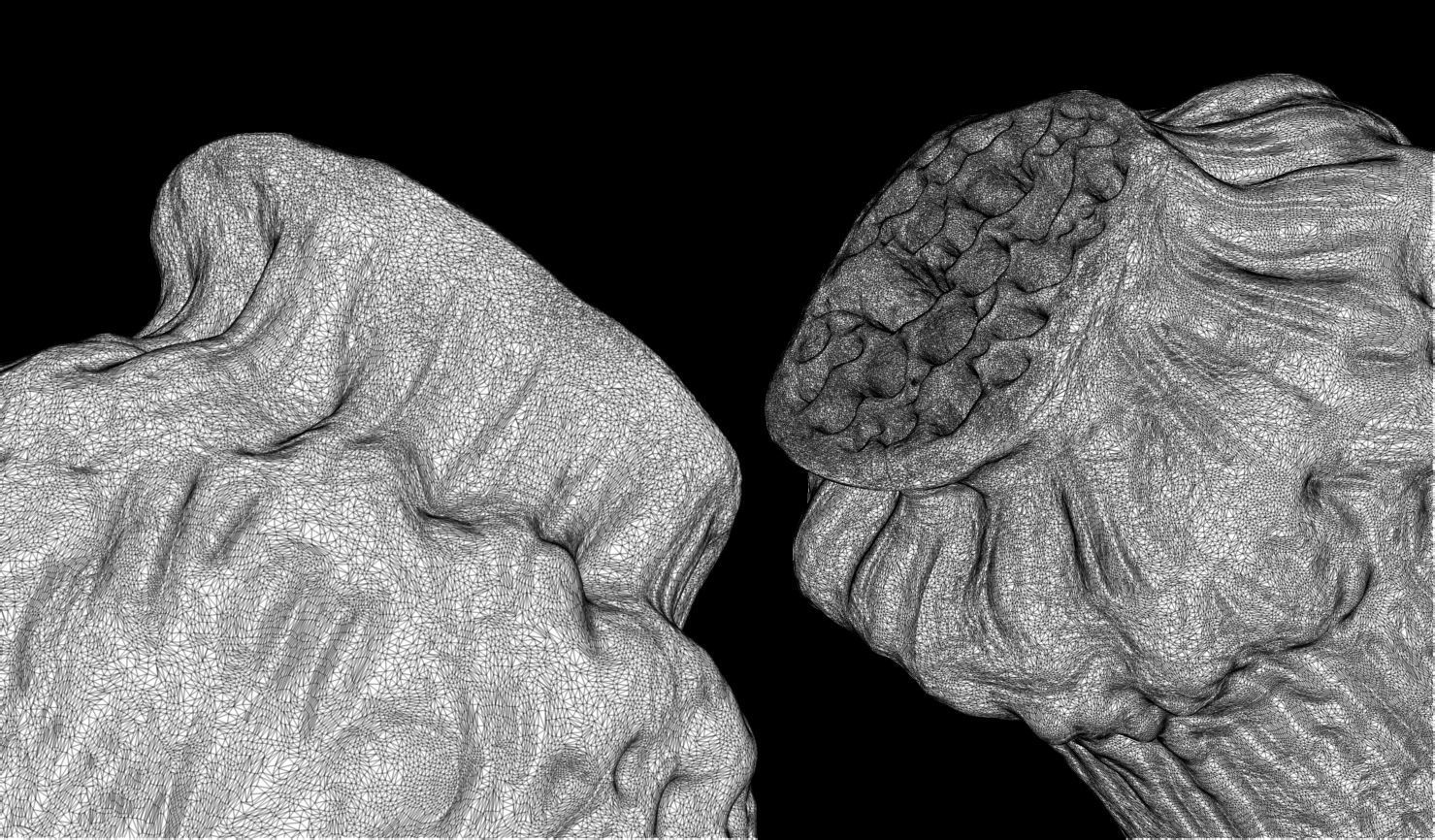 3D PRINTABLE MYTHOSAUR SKULL AND HORNS - THE MANDALORIAN 3D print model_33