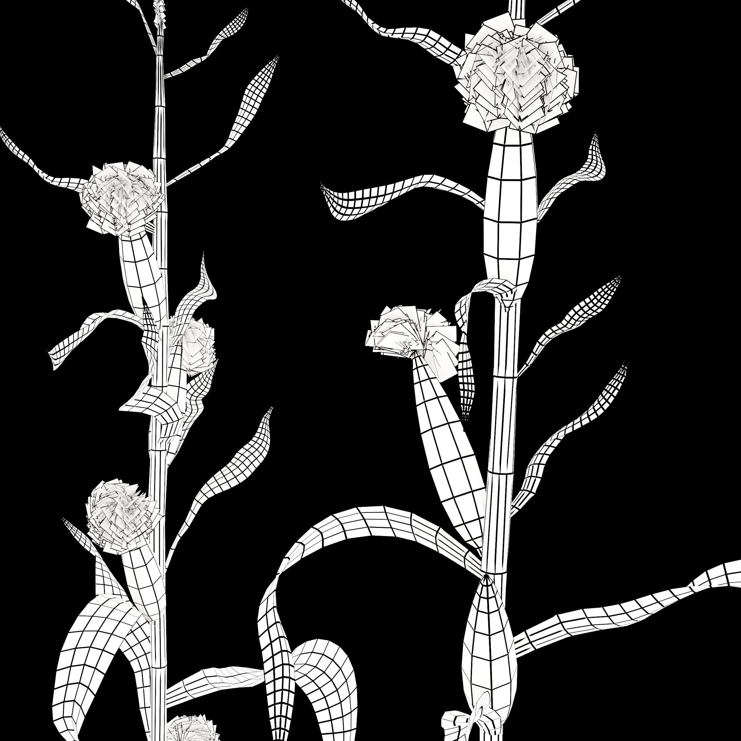 Corn field 3D model_6