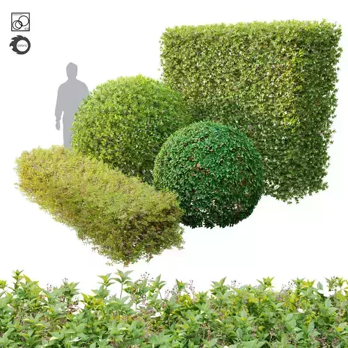 Topiary hedge bushes 3D model