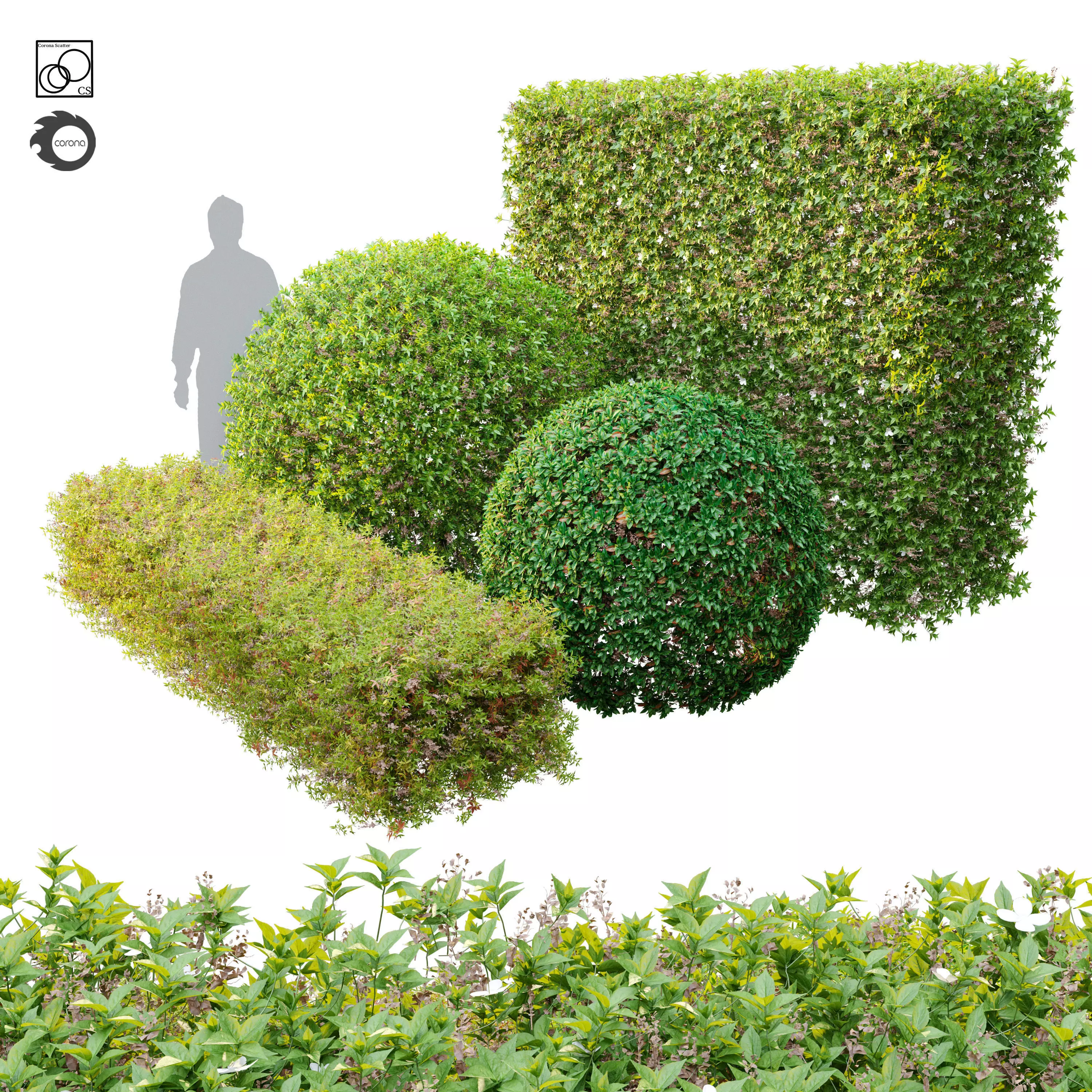 Topiary hedge bushes 3D model_0