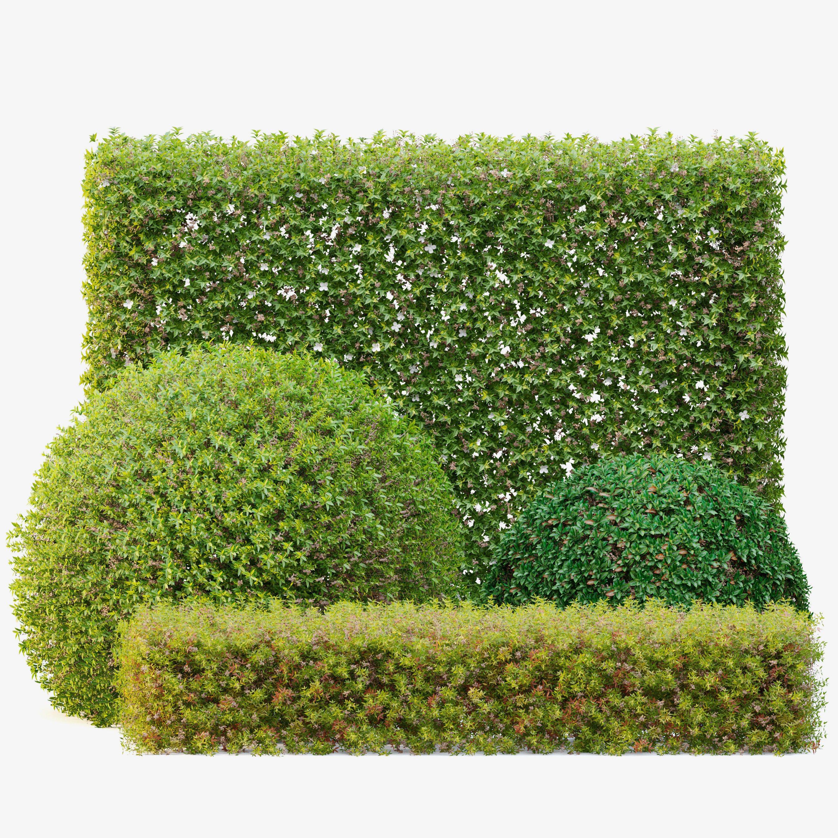 Topiary hedge bushes 3D model_1