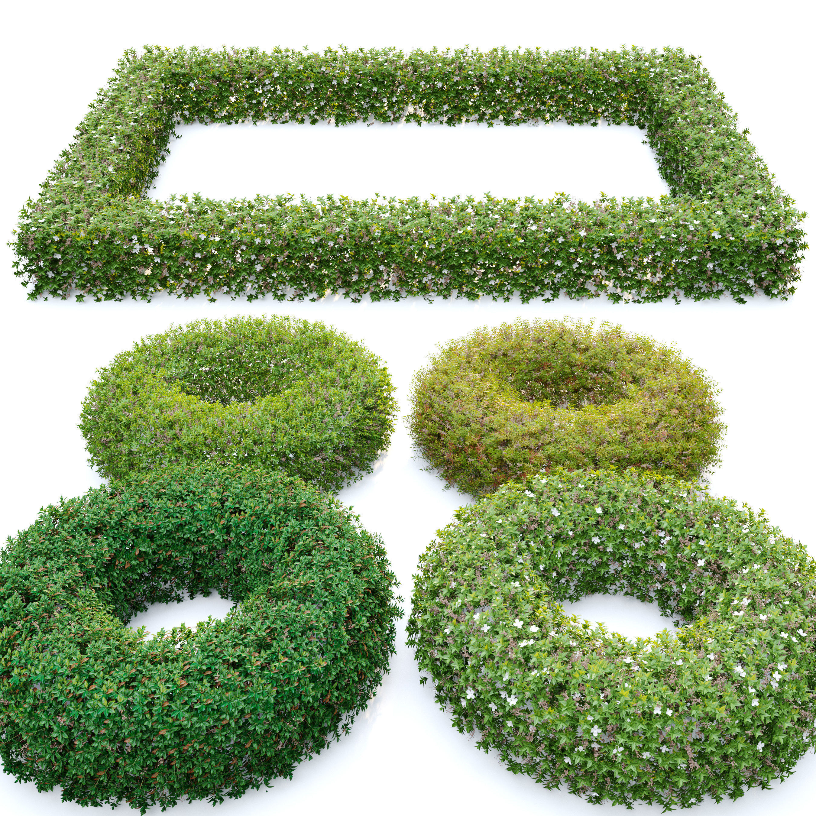 Topiary hedge bushes 3D model_2