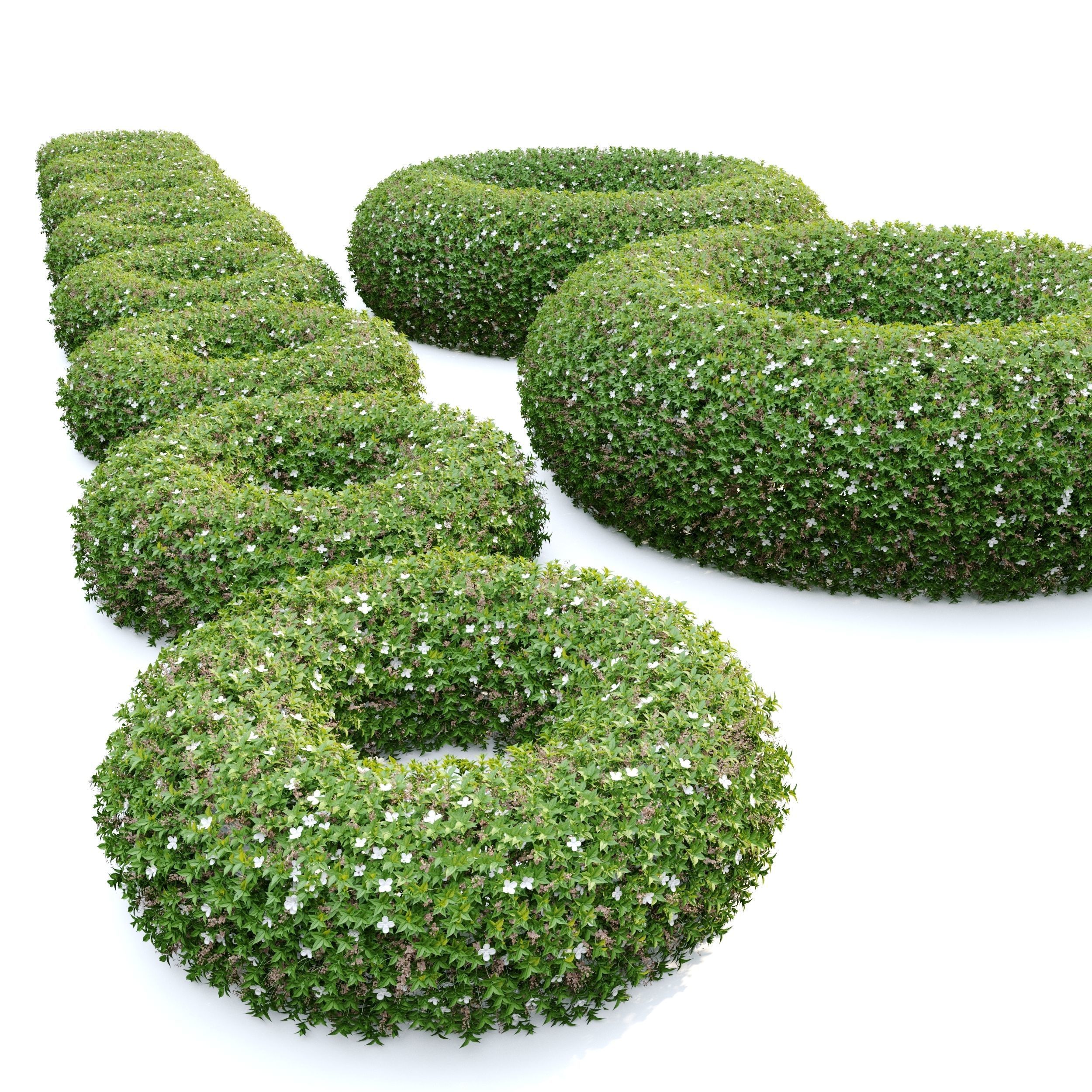 Topiary hedge bushes 3D model_5