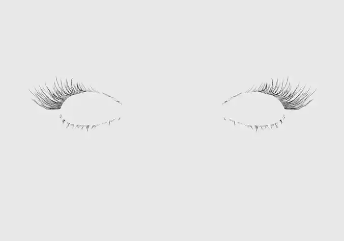 Realistic Long Eyelashes 