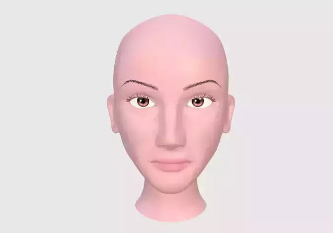 High Poly Head mannequin