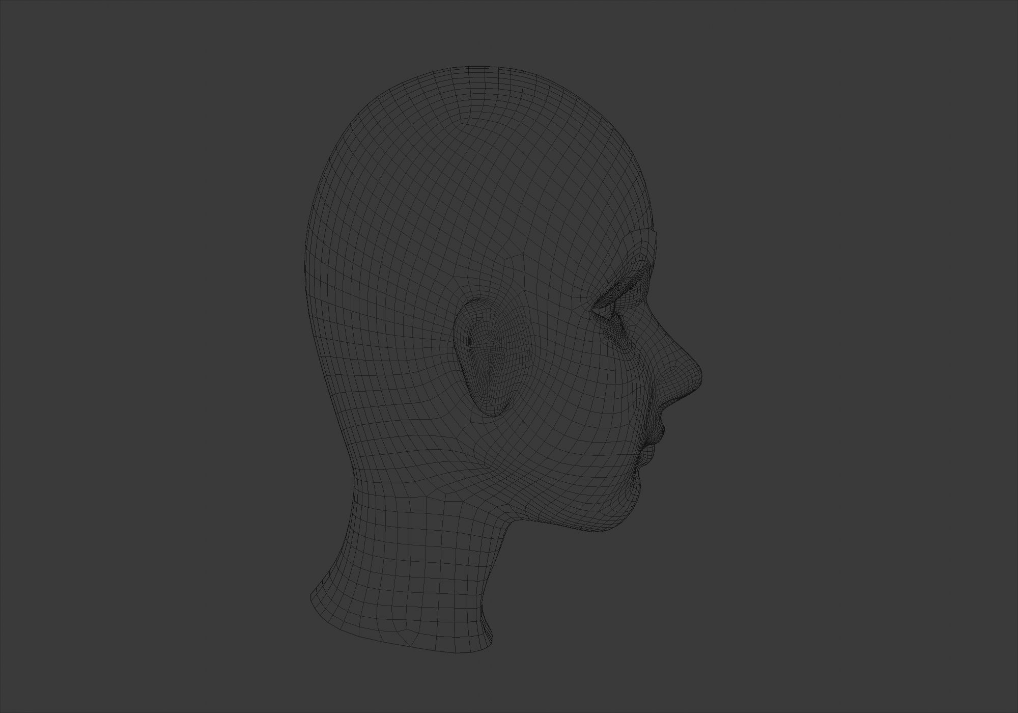 High Poly Head mannequin 3D model_7