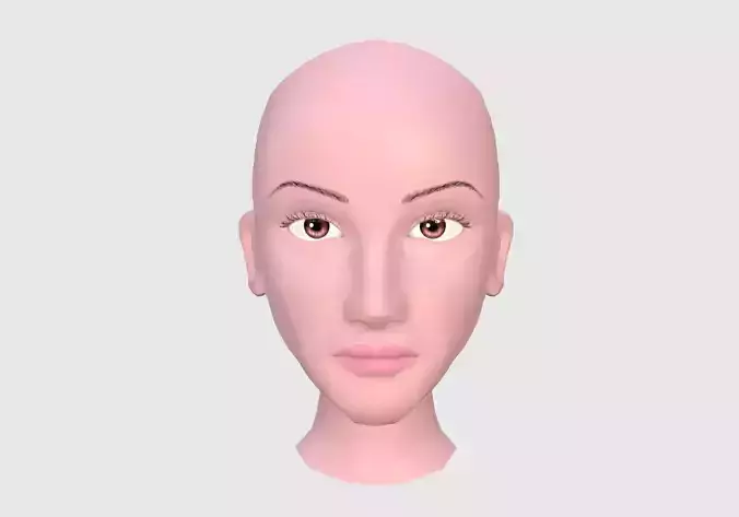 Game Ready Head mannequin