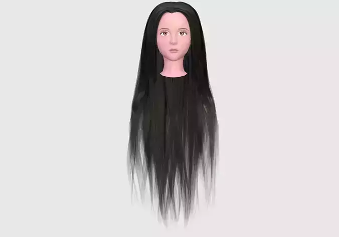 Female Head Hairstyle 