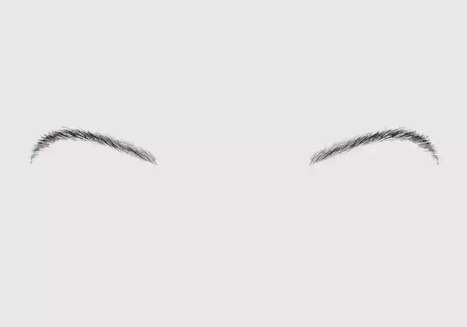 Dark Basic Eyebrow  3D model