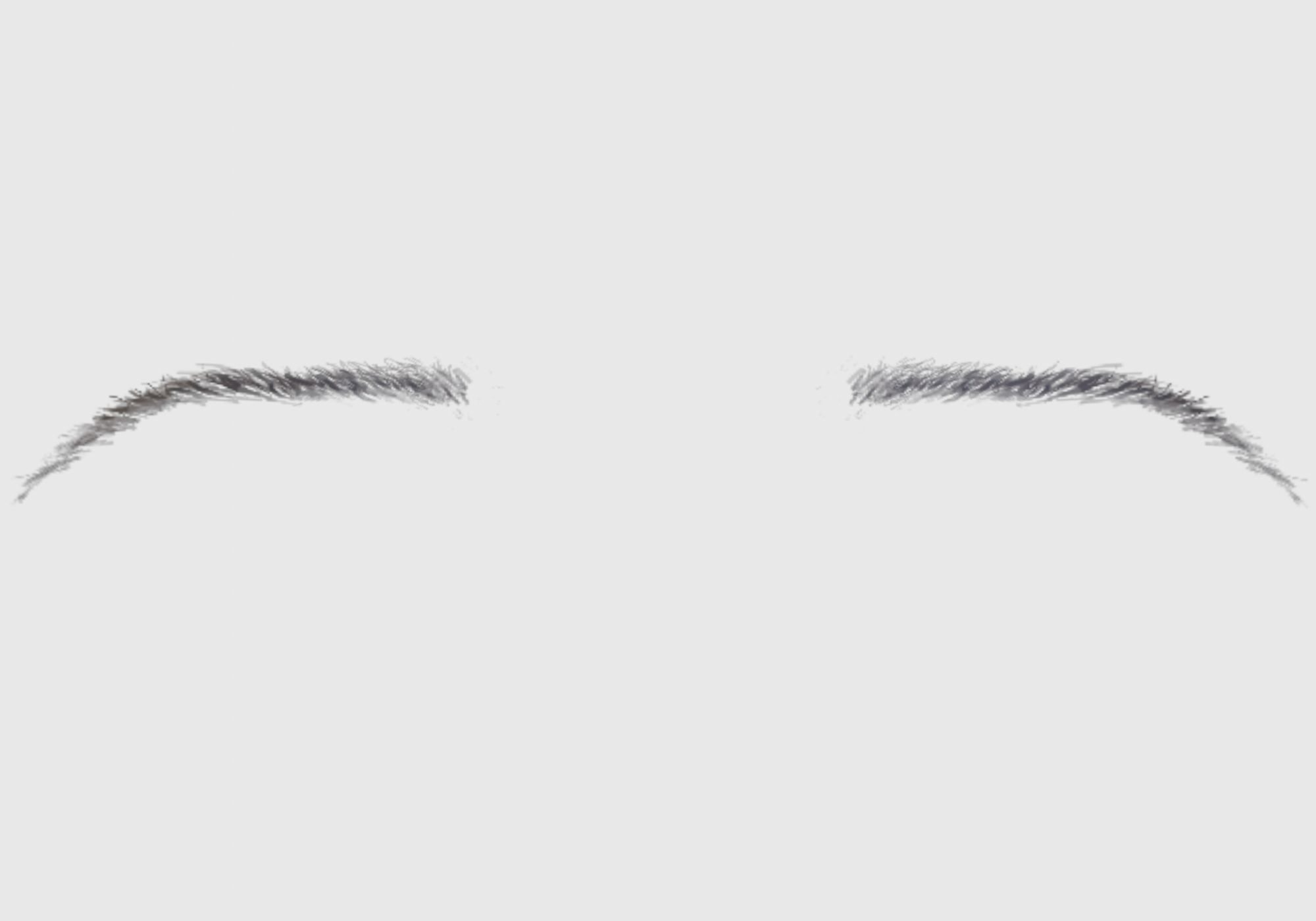 Brown Basic Eyebrow 3D model_4