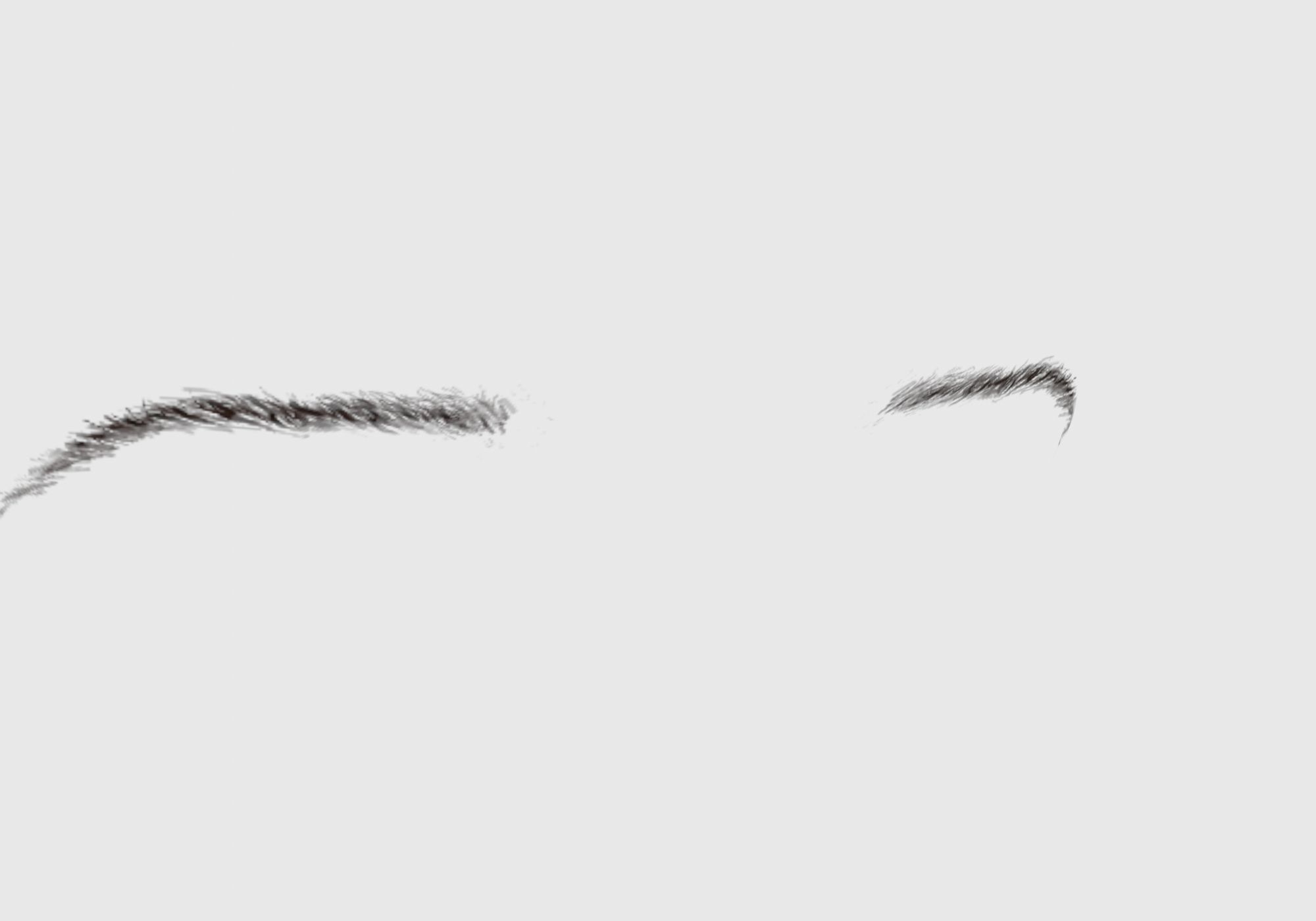 Brown Basic Eyebrow 3D model_1