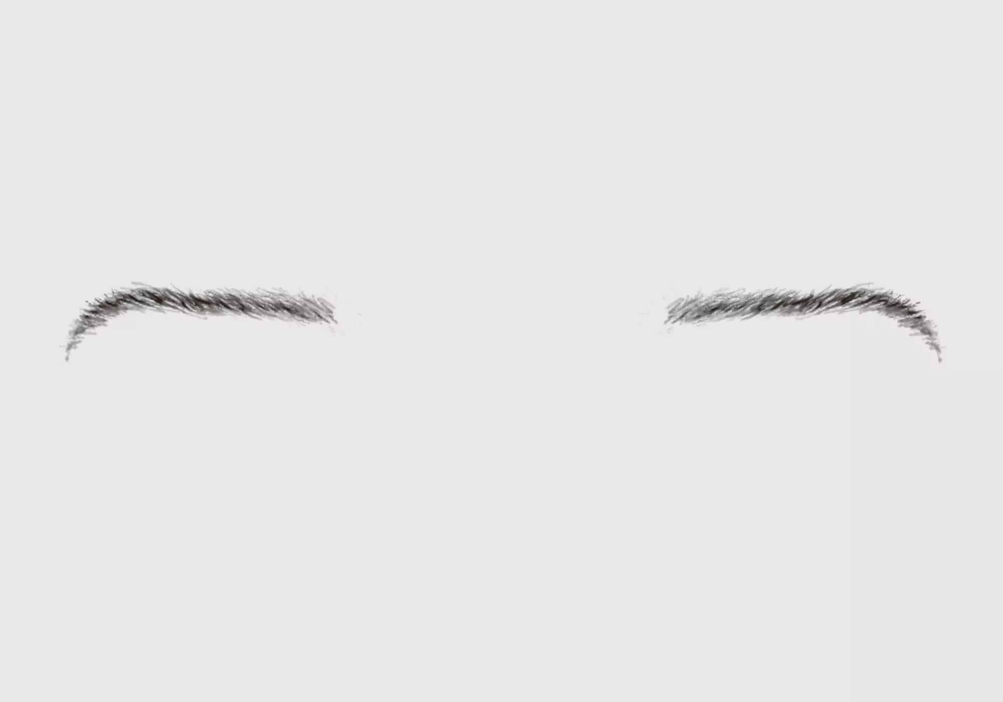 Brown Basic Eyebrow 3D model_0