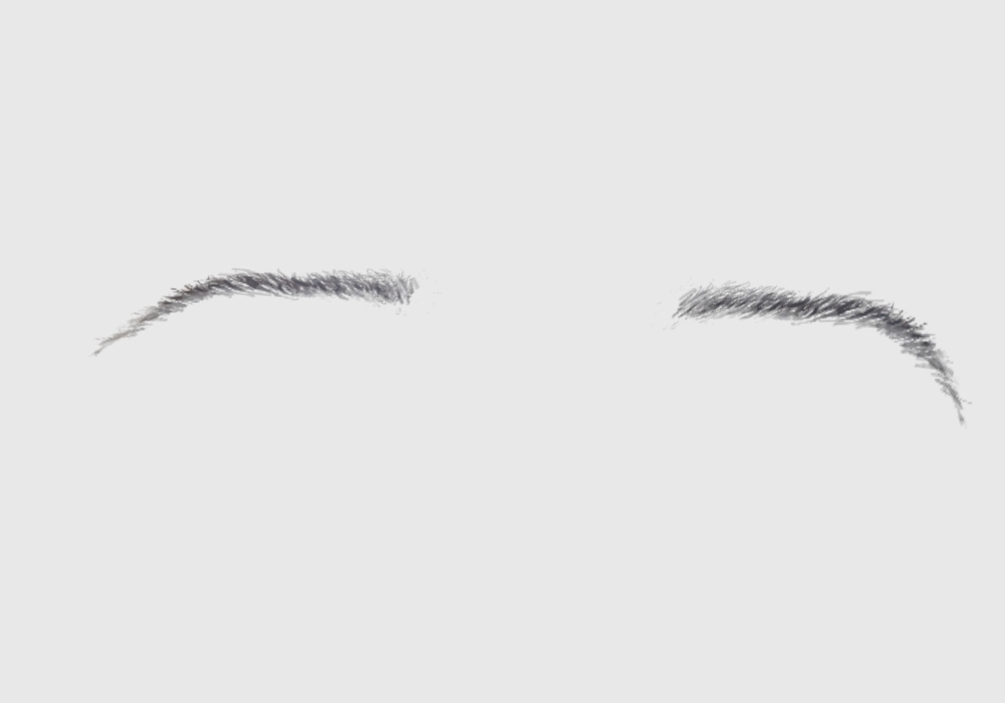 Brown Basic Eyebrow 3D model_3
