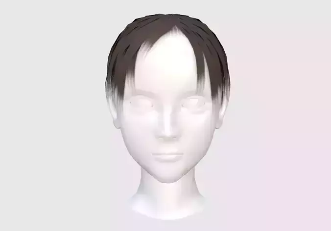 Basic Male Hairstyle 