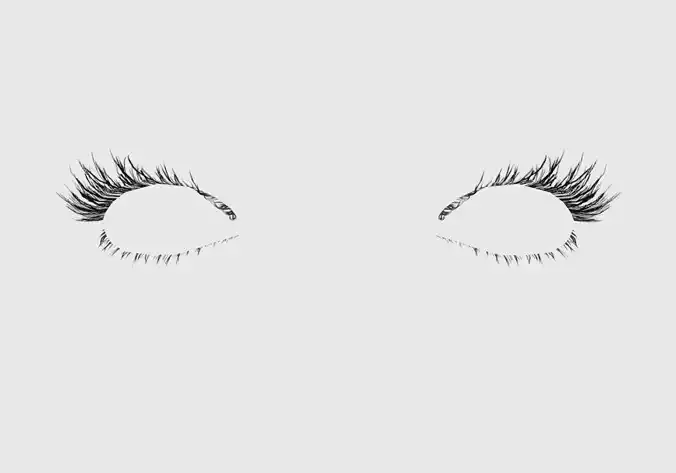 Basic Long Eyelashes 