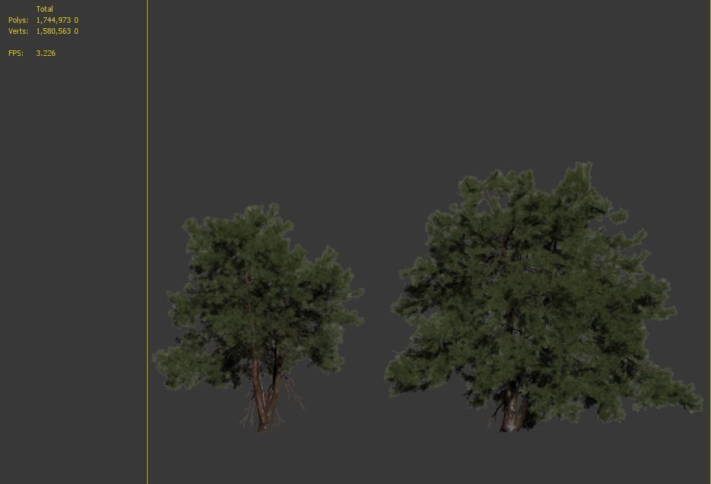 Pine trees 13 3D model_7