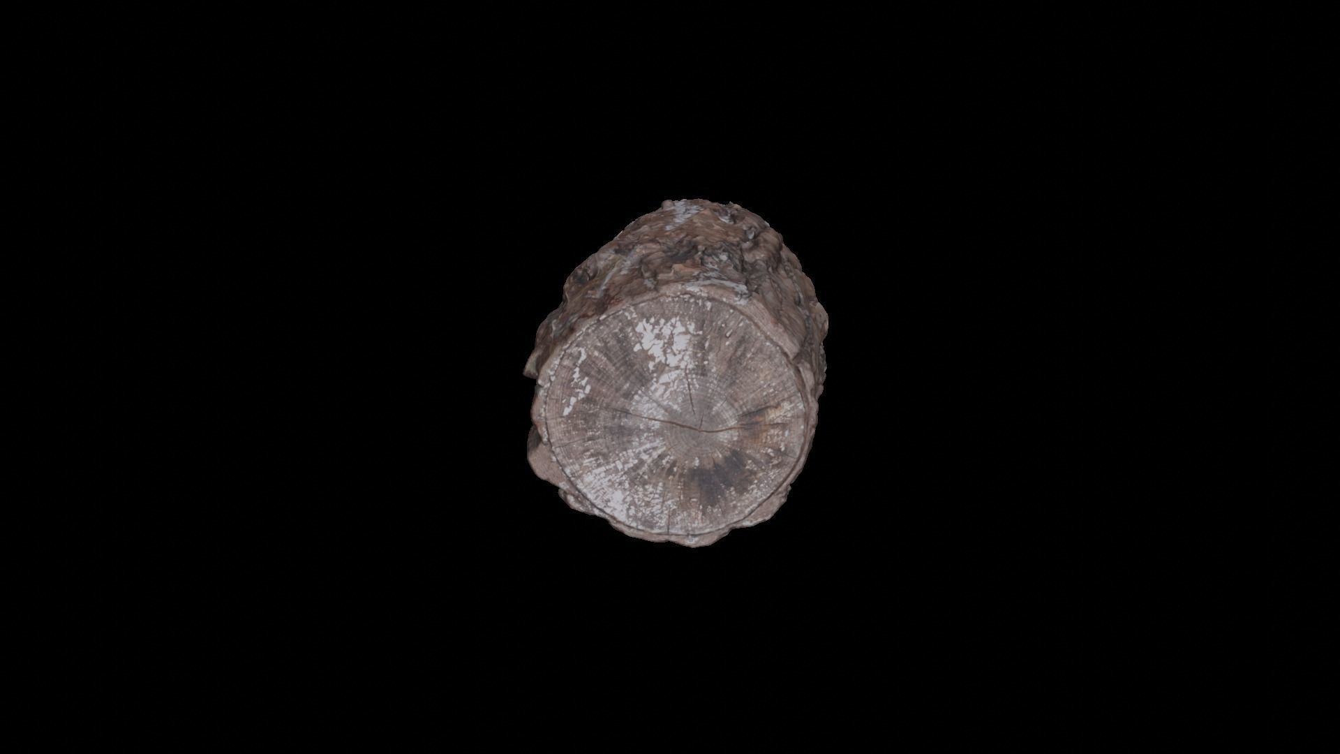 Rotten logs at Wonwonsa Temple Site 3D model_4