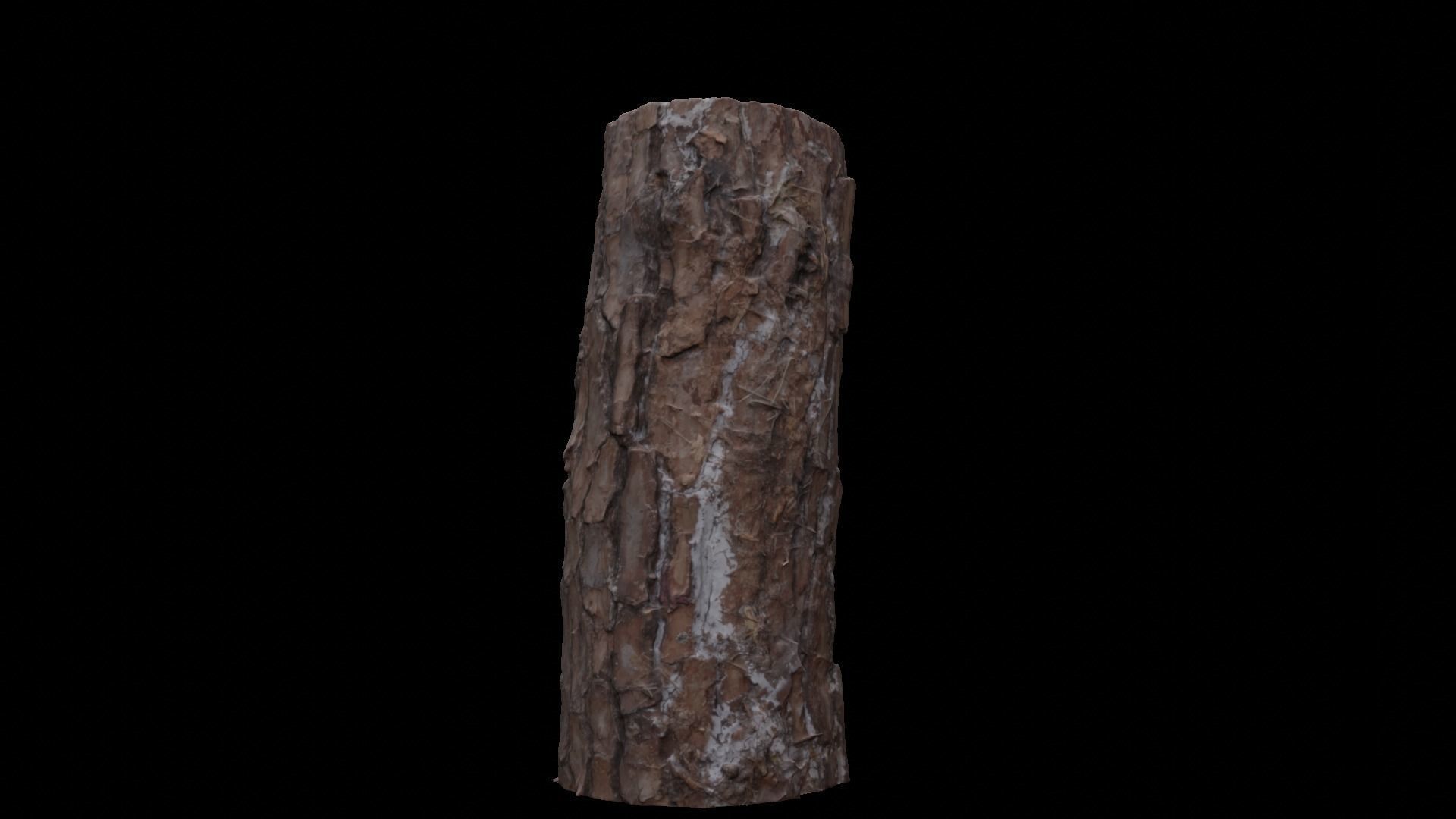 Rotten logs at Wonwonsa Temple Site 3D model_3