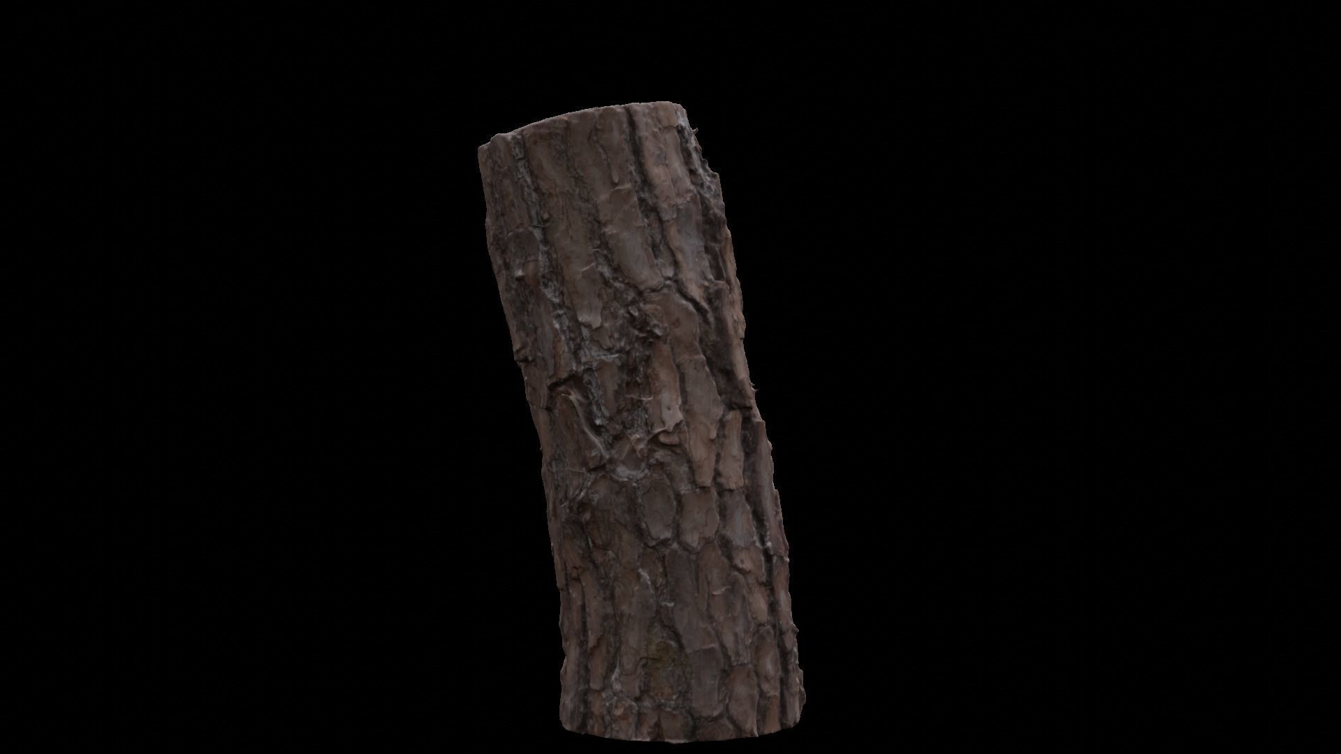 Rotten logs at Wonwonsa Temple Site 3D model_2