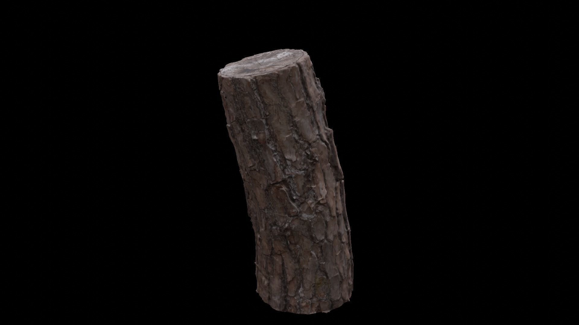 Rotten logs at Wonwonsa Temple Site 3D model_1
